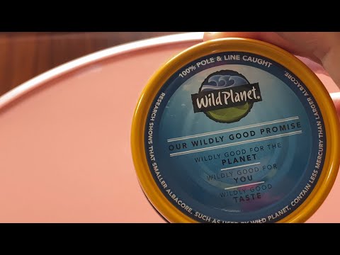 Wild Planet Albacore Tuna: From Ocean to Plate