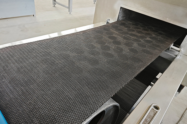 Lò nướng băng tải Tunnel Belt