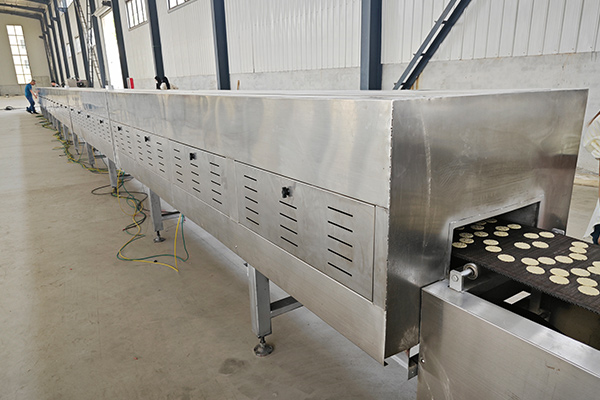 Lò nướng băng tải đường hầm