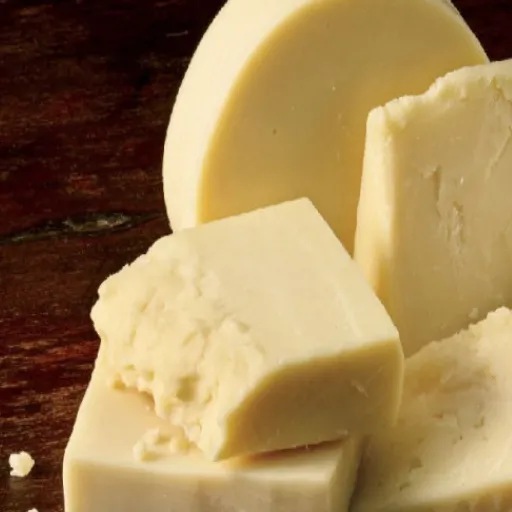 Impact of Sargento on Wisconsin's Dairy Industry