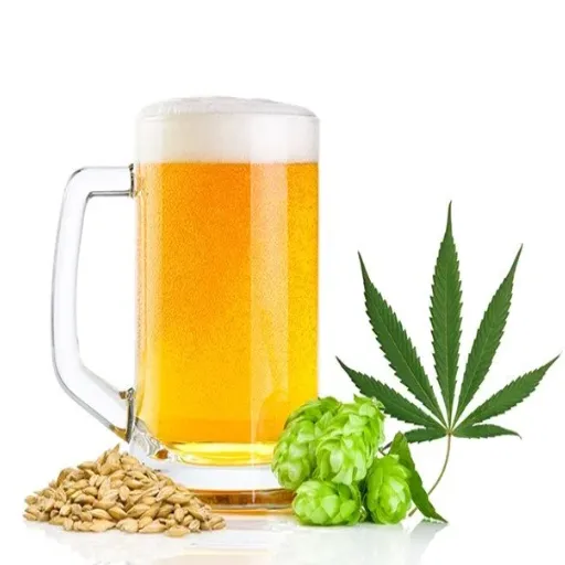 Health Implications of Cannabis Beer