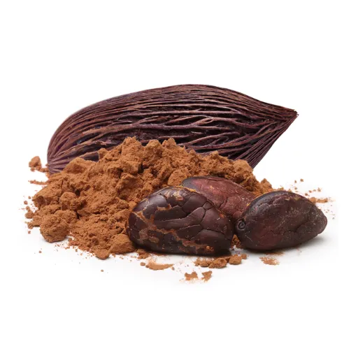 High Flavanol Cocoa Powder: Unlocking the Benefits of Cacao for Heart Health and Cognitive Performance