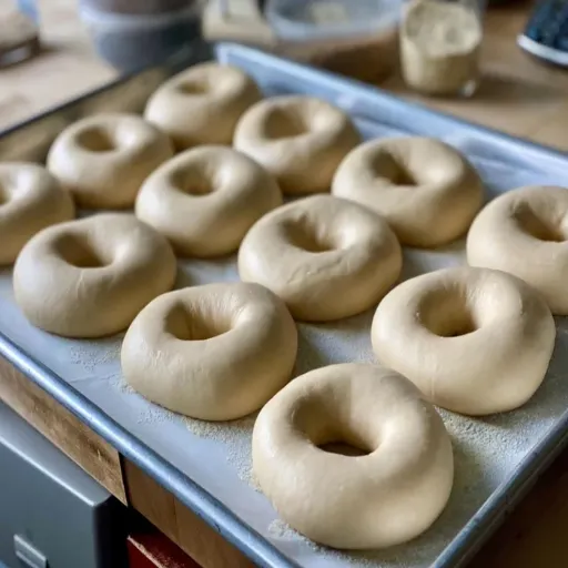 Sustainability Efforts