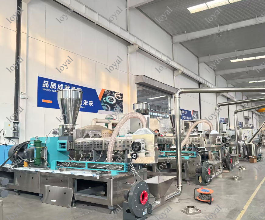 Pet snack production line